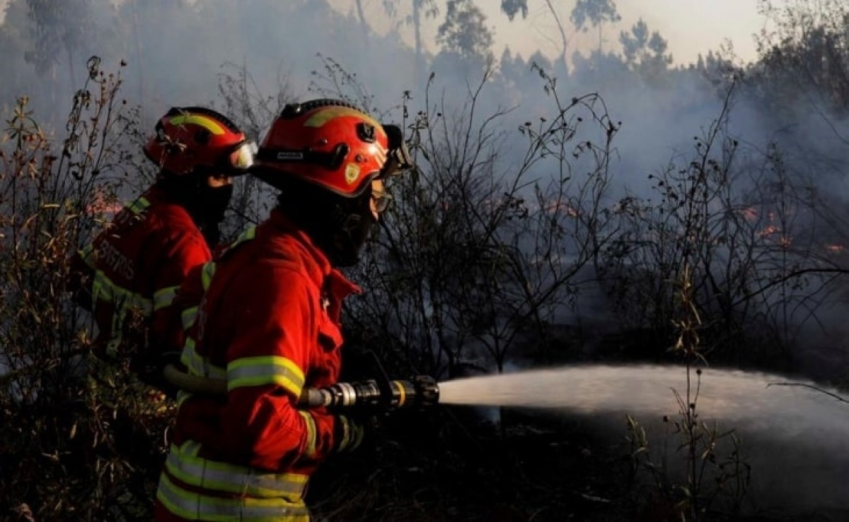 Nove Concelhos Algarvios Em Perigo Muito Elevado De Incêndio 8080