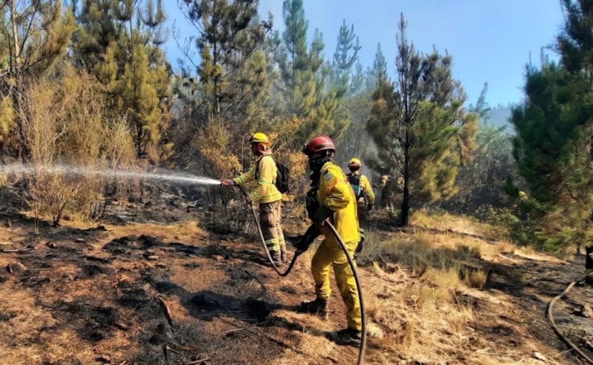 Ipma Coloca 6 Concelhos Do Algarve Em Perigo Máximo De Incêndio 3586