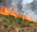 Duas toneladas de "ajuda" partiram de Faro rumo às famílias afetadas pelos incêndios