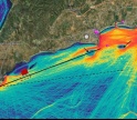 Câmara de Lagos contra expansão de exploração de mexilhão em mar aberto