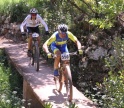 Alte prepara-se para momentos de pura adrenalina com o BTT e Alte Trail