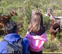 Previsão de mau tempo adia Festival de Caminhas de Alcoutim e Sanlúcar de Guadiana