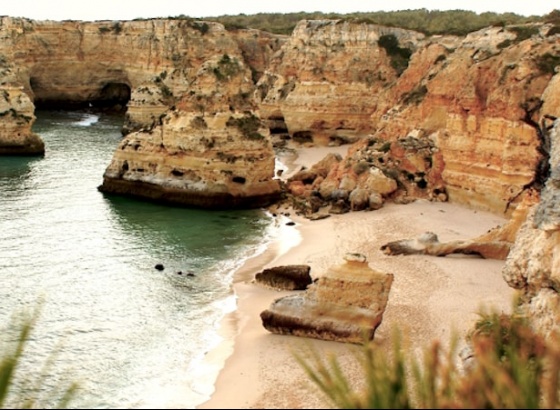 Lagoa convida para “Uma viagem ao Algarve Tropical” com participação gratuita