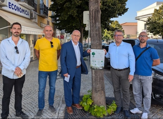 Árvores de Loulé recebem etiqueta que atesta a sua importância na cidade 