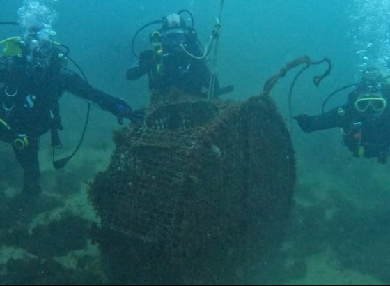 Meia tonelada de resíduos foi o balanço do programa "Vamos Limpar Terra e Mar" em Albufeira 