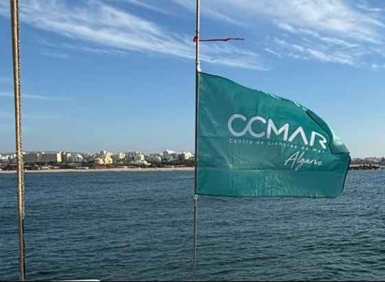 CCMAR lidera projeto de 8,5 ME para financiar investigação em aquacultura e pescas