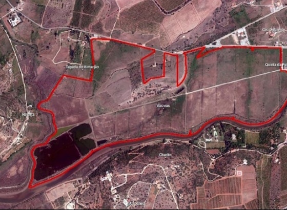 Câmara de Silves prorroga prazo de elaboração do Plano de Pormenor da Feitoria Fenícia 