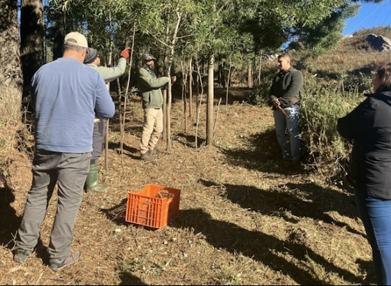 GEOTA e Câmara Municipal de Monchique promovem ações de combate às espécies invasoras