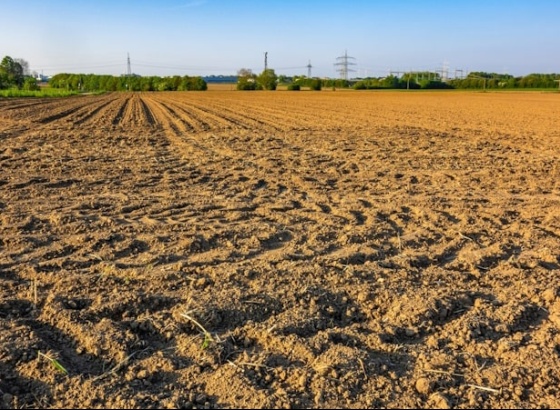 Seminário no Algarve defende equilíbrios para contrariar a degradação do solo