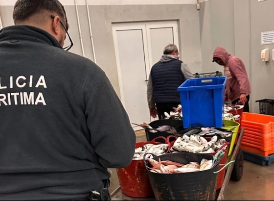 Apreendida meia tonelada de pescado em Tavira