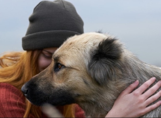 UAlg promove Cãominhada em Olhão