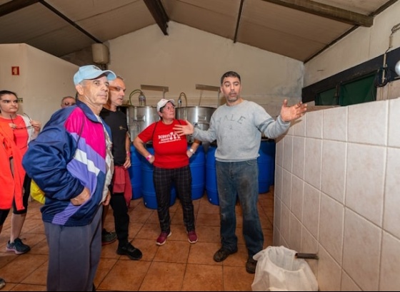 Passeio pedestre promove visitas a destilarias de aguardente de medronho