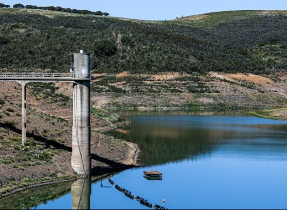 CDS-PP critica "impaciência" dos deputados do PS sobre obras na barragem da Bravura  