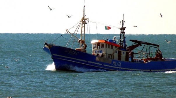   Armadores algarvios queixam-se de falta de formação para pescadores e de mão-de-obra