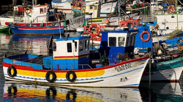 Associação pede igualdade para pescadores no Parque Marinho do Algarve