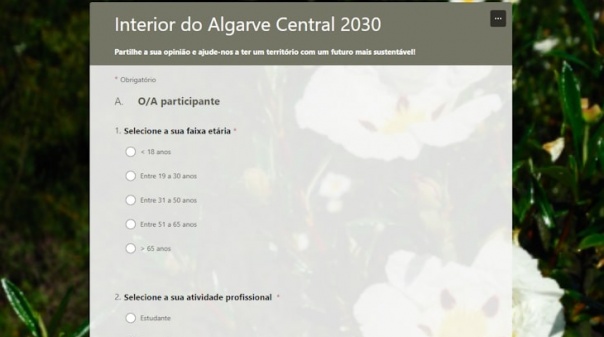 In Loco apela a questionário online sobre estratégia de desenvolvimento local do Algarve Central  