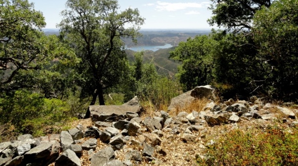 Serra de Monchique classificada com Prémio Cinco Estrelas Regiões