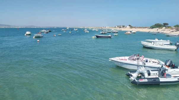 Ciência Viva no Verão mostra ‘segredos’ da Ria Formosa e impacto da ação humana