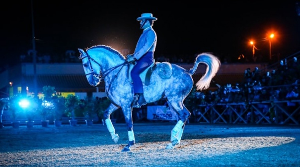 42ª edição da FATACIL reforça aposta no programa equestre 