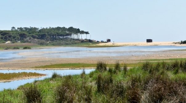 Câmara de Loulé lança passatempo ambiental 