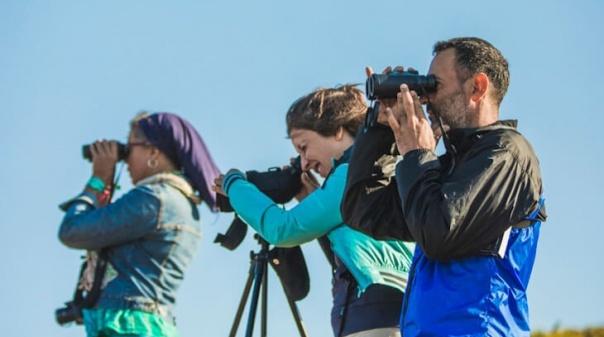 Lançado programa e abertas inscrições para o Festival de Observação de Aves & Atividades de Natureza