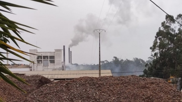 Moradores exigem solução para fumos emitidos por fábrica da cortiça de Silves