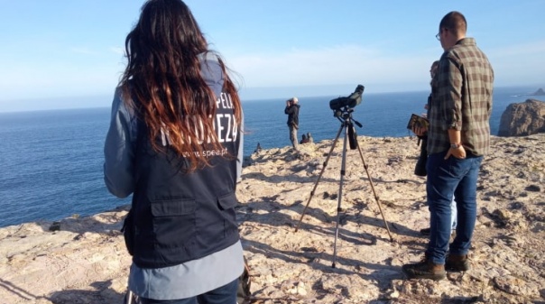 Maior evento nacional dedicado às aves e à natureza arranca amanhã em Sagres