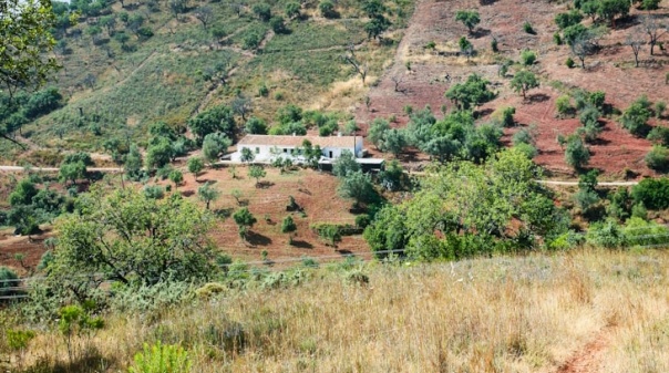 Programa de reordenamento e gestão da Serra do Caldeirão em consulta até novembro