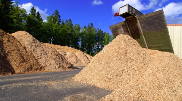 Fundo Ambiental abre apoios a pequenas centrais de biomassa em seis municípios do Algarve 