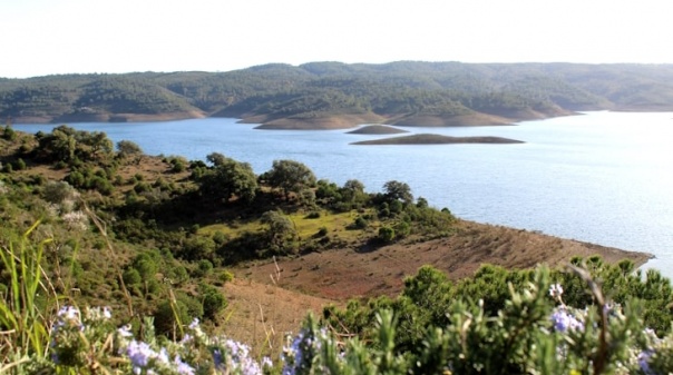 Almargem "frontalmente" contra a construção da Barragem da Foupana 