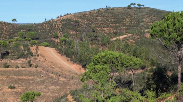 Silves: Proposta de operação de gestão da paisagem em discussão pública até 17 de janeiro