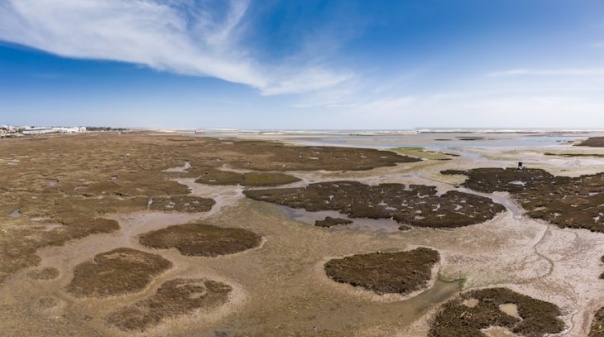 Consulta pública ao Plano de Cogestão do Parque Natural da Ria Formosa arranca dia 12