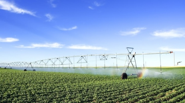 Agricultores de regadio pedem que se aproveite melhor a água que o país tem 