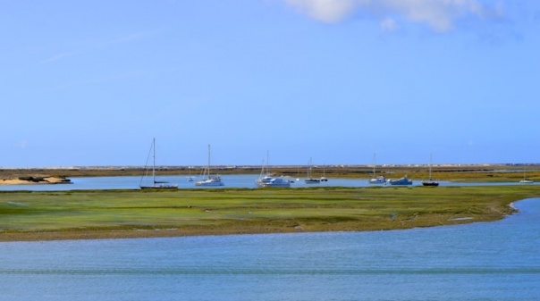 ICNF vai ordenar ancoragem de embarcações de recreio na Ria Formosa