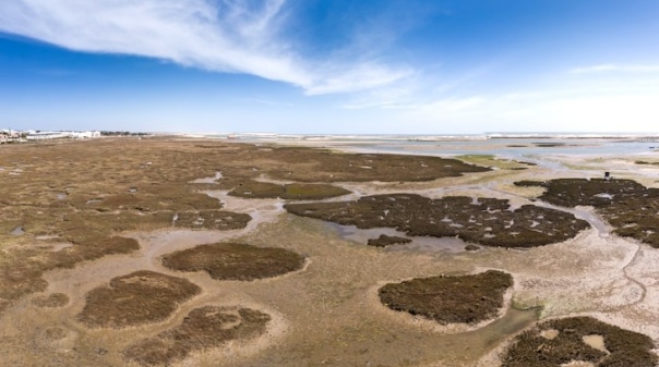 Proposta do Plano de Cogestão da Ria Formosa apresentada em Tavira