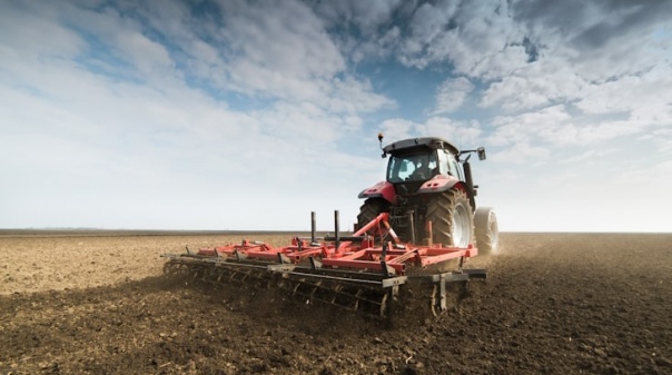 Seca: Setor agrícola constitui comissão que critica cortes adotados no Algarve