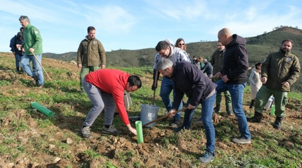 Concelho de Loulé mais verde com 40 mil árvores plantadas em 2023 