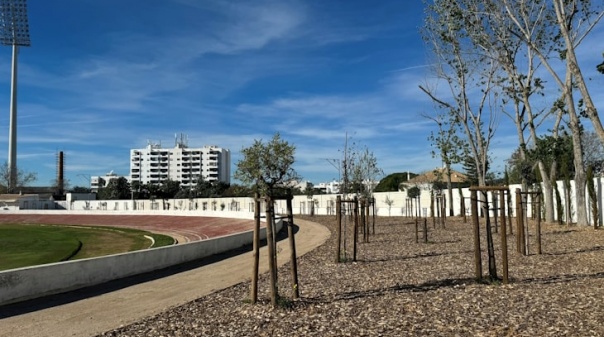 Estádio Municipal de Loulé mais arborizado com plantação de 197 árvores e arbustos