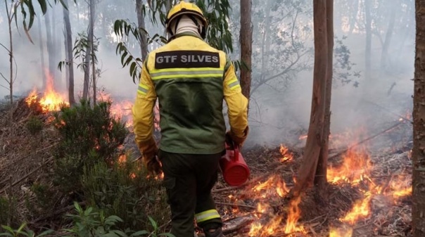 Técnica de fogo controlado testada em Monchique