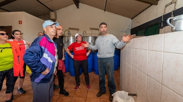 Passeio pedestre na Cortelha visita destilarias de aguardente de medronho