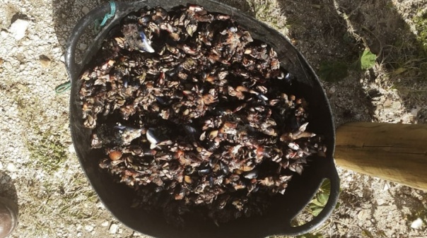 Pescadores e mariscadores fiscalizados no Parque Natural do Sudoeste Alentejano e Costa Vicentina