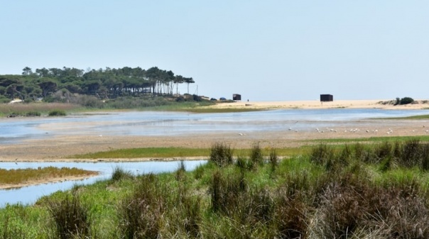 Processo de classificação da Reserva Natural Local da Foz do Almargem e do Trafal na "reta final" 