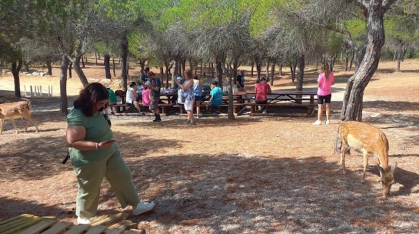 Tavira envolveu comunidade no Dia Mundial do Ambiente