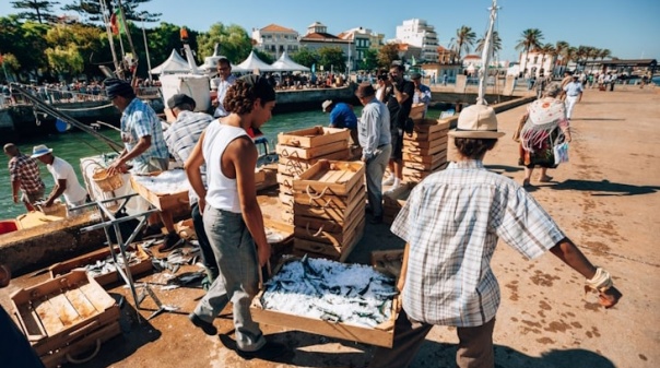 Recriação da descarga na antiga lota marca início do Festival da Sardinha