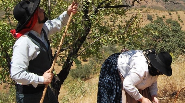 9º Encontro Etnográfico Amendoeiras em Flor presta tributo a apanhadores de frutos secos