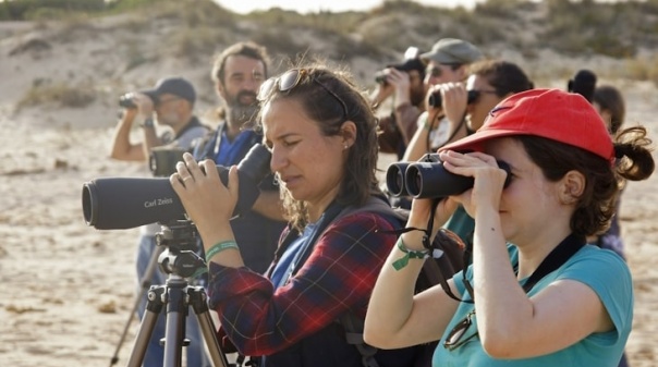 Abertas inscrições para o Festival de Observação de Aves & Atividades de Natureza