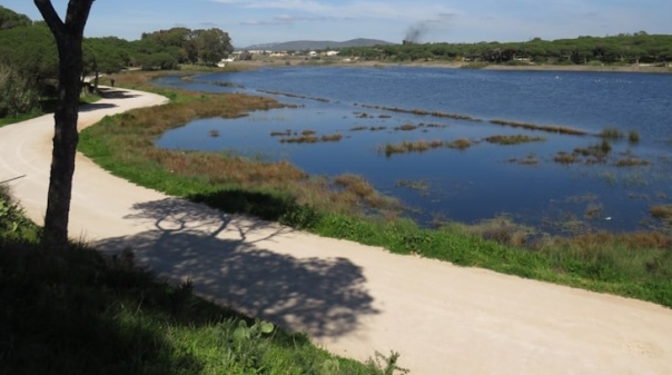 Oficializada Reserva Natural Local da Foz do Almargem e do Trafal