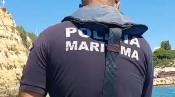 Polícia Marítima resgatou golfinho junto à praia da Senhora da Rocha em Lagoa