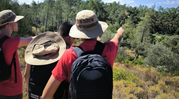 56 jovens vigiaram área florestal de Loulé 