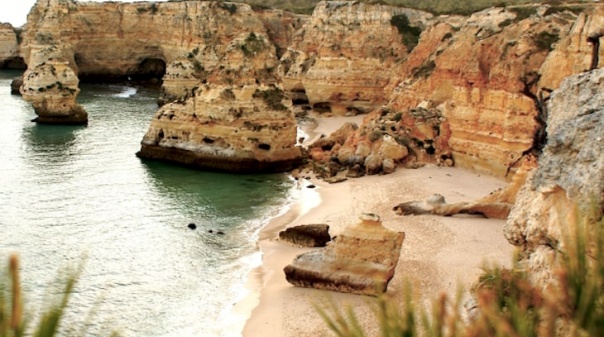 Lagoa convida para “Uma viagem ao Algarve Tropical” com participação gratuita